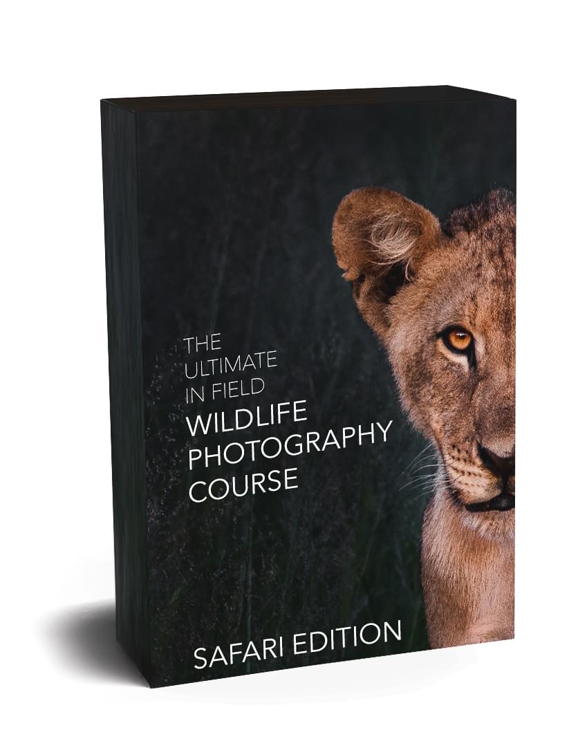 The Ultimate Wildlife Photography Course